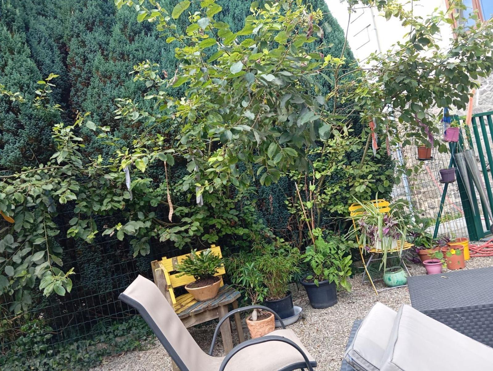 Au Pied Du Gazon Apartment Saint-Maurice-sur-Moselle Exterior foto